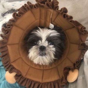 Meet your Posher, Ellen